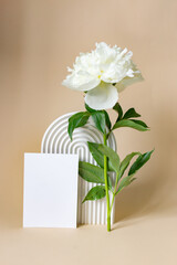 Mockups with postcard