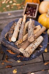 Dry firewood logs in metal fireplace