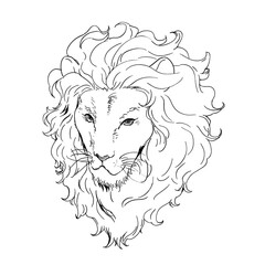 ライオンの顔　線画