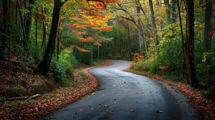 Naklejka premium a road in the middle of a forest with lots of leaves on the ground and trees with orange and yellow leaves on the ground and on both sides of the road.
