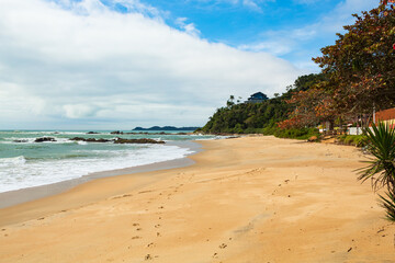 Obraz premium beach with palm trees Saudade beach Penha Santa Catarina Brazil