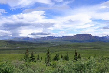 Fototapeta premium Denali National Park, Alaska, USA,