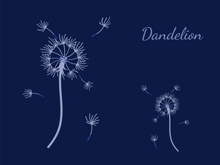 Abstract background dandelion design for decoration design.
