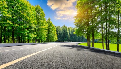 country asphalt road and green woods nature landscape in summer - obrazy, fototapety, plakaty