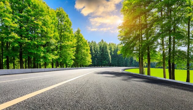 country asphalt road and green woods nature landscape in summer