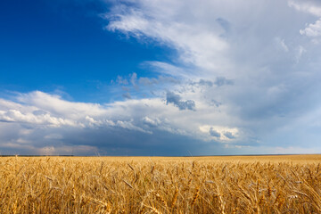 San Francisco Road Trip. Photo Credit: Sergei Belski