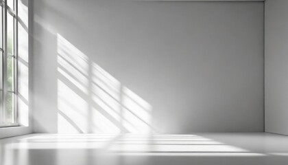 abstract white studio background with shadows of window empty 3d room display product with blurred backdrop