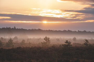 Orange morning sun illuminates a sandy path and a landscape shrouded in mist through the Grenspark Kalmthoutse Heide near Antwerp in northwest Belgium