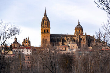 Fototapeta na wymiar Salamanca skyline, with cathedral, Spain