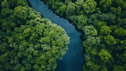 Naklejka premium an aerial view of a river in the middle of a forest with lots of green trees on both sides of the river, looking down at the river from above.