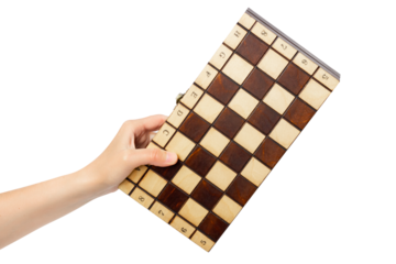 Chessboard in Hand: A Strategic Grasp on the Game