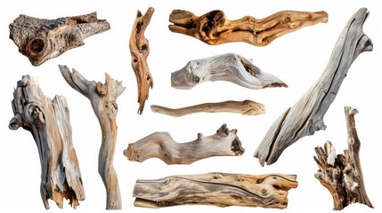 Various textured pieces of driftwood on white background. Isolated. Cutout