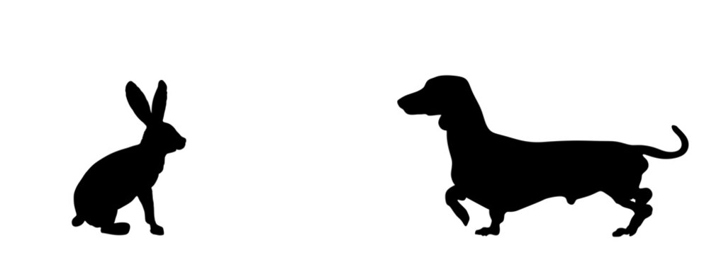 Rabbit Dachshund Images – Browse 1,564 Stock Photos, Vectors, and Video ...
