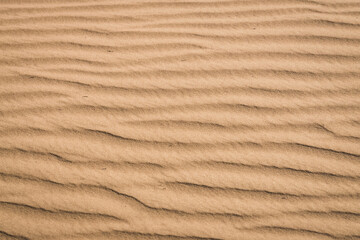 Texture of sand in the hot summer desert of Kyzylkum in Uzbekistan on a summer day