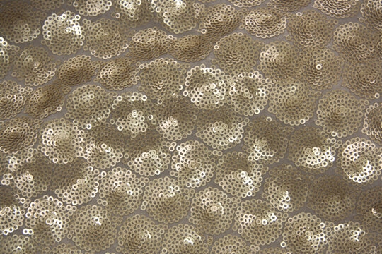 Ivory sequins pattern. Sparkling fabric with small paillettes , shiny and fashion background.