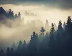 Selbstklebende Fototapete Wald im Nebel Misty morning in the mountains