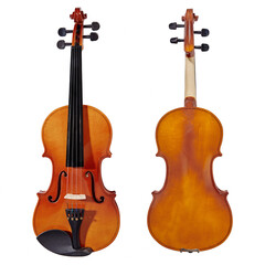 Violin on white background. Classical music instrument