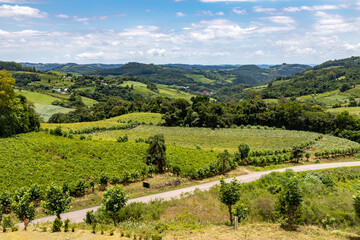 Vineyards in the valley