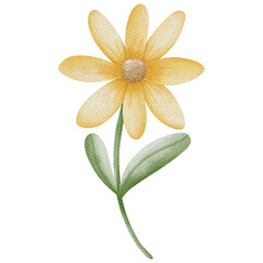 Watercolor flower and leaf Element