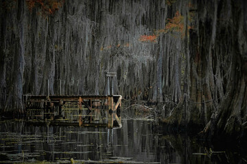 Caddo Lake in Texas during the Autumn season with the Cypress trees changing colors.