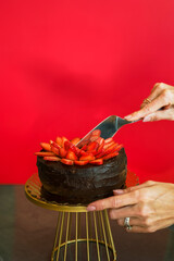 Chocolate cakes