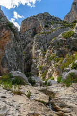 Fototapeta na wymiar Canyon of Gorropu in the Supramonte of Urzulei in east Sardinia