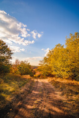 Countryside Path Surrounded by Green Shrubs and Trees, Autumnal Setting with Blue Sky, White Clouds, and Orange Sun Setting in the Background