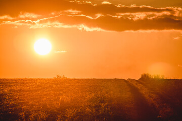 Dirt road on an empty field, leading towards the horizon, against the backdrop of a bright orange sun, setting below the horizon