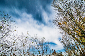 Dark blue sky with a bright moon and blurred white clouds illuminated by the moonlight, with bare tree branches in the foreground