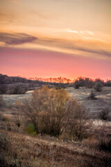 Bare leafless trees among reeds, against an orange field with small trees and bushes against a backdrop of pink sunset, topped with orange clouds