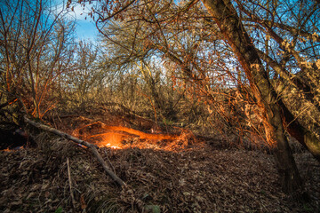 Campfire on a hill in the forest, with a hiking jacket hanging on the side, surrounded by fallen...