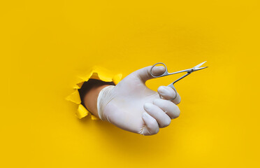 A man's hand in a white medical glove holds a nipper (scissors) for a pedicure and manicure.Yellow paper background with a torn hole in yellow paper.The concept of a master nails of people and animals - obrazy, fototapety, plakaty