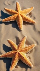 Fototapeta na wymiar Starfish on summer sunny beach at ocean background. travel, vacation concepts.