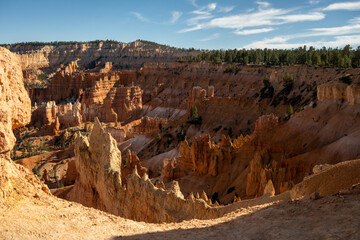 Arms of Bryce Amphitheatre Zig Zag Across Canyon