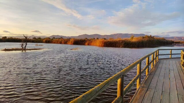 Sunset in the El Hondo Natural Park, Crevillent, Alicante, Valencian Community, Spain.