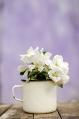 Still life with cup and bouquet of branches with apple blossoms. White petals of flowering trees that fell on concrete