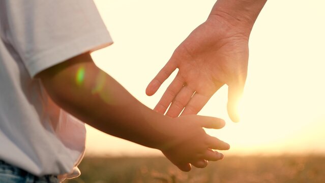 Dad and preschooler son stand hand in hand in warm glow of setting sun. Parent and kid walk together surrounded by beauty of nature. Child spends time with dad and shares peaceful moment in open field