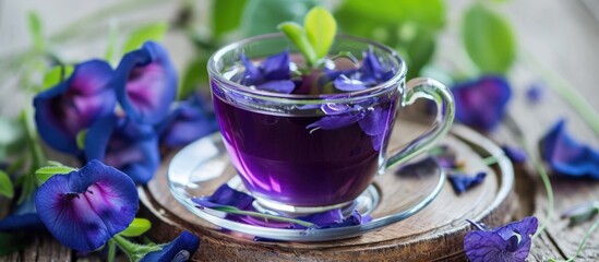 Butterfly Pea, also known as Blue pea or Clitoria ternatea, is a natural and organic plant used for tea, beverages, and cosmetics.