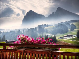 Balcony view of  foggy alpine meadows and mountains through the flowers. Alp de Siusi. Dolomites. Italy