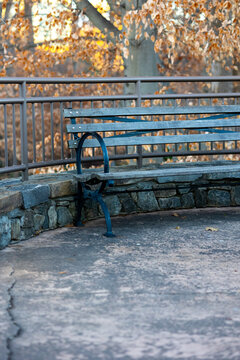 Bench in the Park