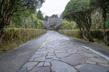 静寂に包まれた石畳の遊歩道の情景
