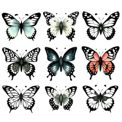 collection of butterflies