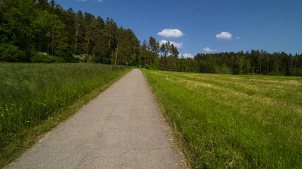 Fototapeta na wymiar Serene Countryside Path Leading Through Lush Green Fields on a Sunny Day