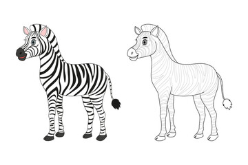 Zebra line and color illustration. Cartoon vector illustration for coloring book.
