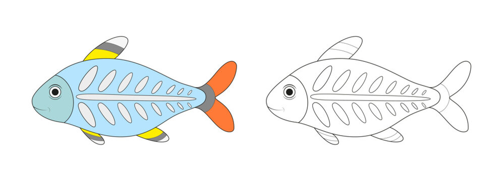 X-ray fish line and color illustration. Cartoon vector illustration for coloring book.