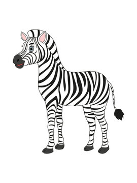 Cute cartoon zebra, striped horse, isolated object on white background. African  wild savannah animal. Vector drawing.