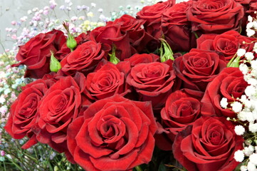 a red rose bouquet wrap