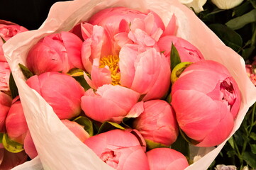 beautiful pink peony bouquet as a background