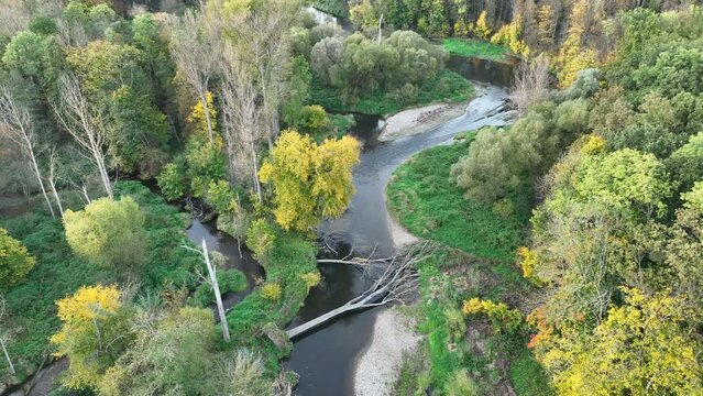 River delta floodplain autumn fall color meander drone aerial inland video shot in sandy sand alluvium, benches forest and lowlands wetland swamp, quadcopter view flying fly flight show