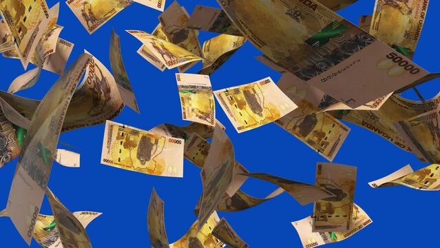 3D animation of Ugandan Shilling notes Falling On Green screen. You can remove the background by keying or subtracting with the black and white matte to replace with a custom one

